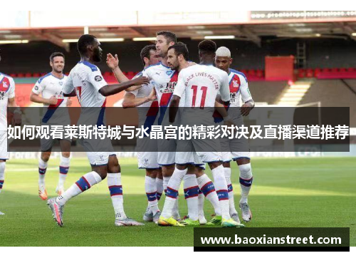 如何观看莱斯特城与水晶宫的精彩对决及直播渠道推荐 如何观看莱斯特城与水晶宫的精彩对决及直播渠道推荐