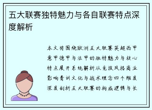 五大联赛独特魅力与各自联赛特点深度解析